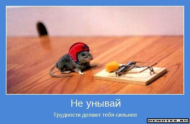 http://img0.liveinternet.ru/images/attach/c/7/95/703/95703716_1357074420_trudnosti.jpg