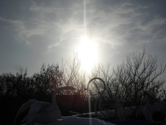 SDC18281 (700x525, 211Kb)