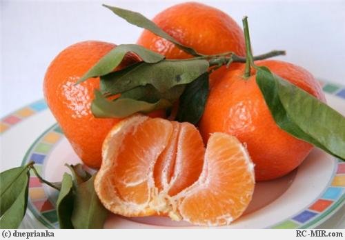 mandarin (500x348, 31Kb)