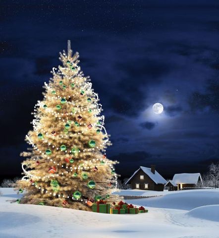 4678553_getImage_2 (442x480, 36Kb)