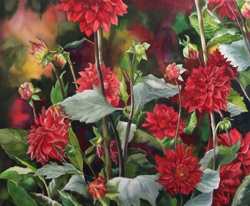 red_dahlias_24x30_inset (503x415, 76Kb)