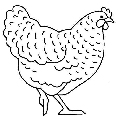 galinha a (486x500, 57Kb)