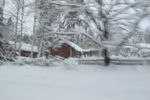  IMG_0467 (700x467, 287Kb)