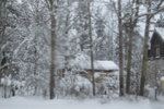  IMG_0470 (700x467, 403Kb)