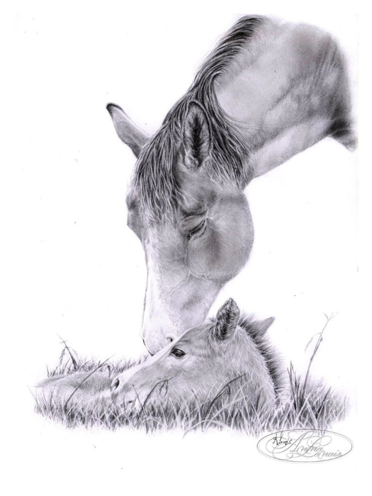 La_jument_et_son_poulain_by_morvandelle (525x700, 136Kb)