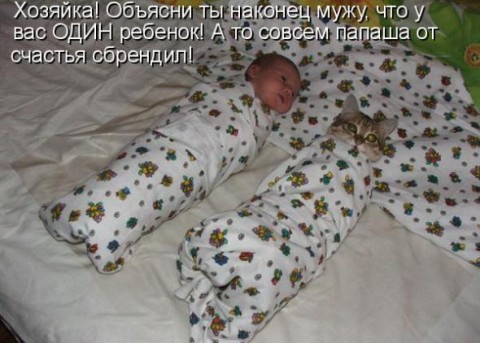 securedownload (5) (480x343, 51Kb)