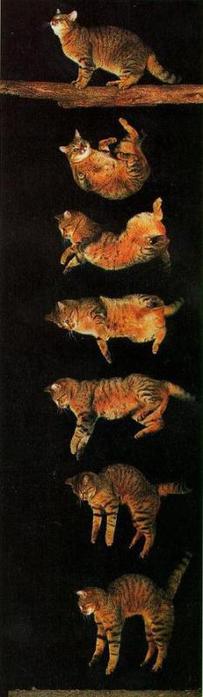  1 (203x700, 23Kb)