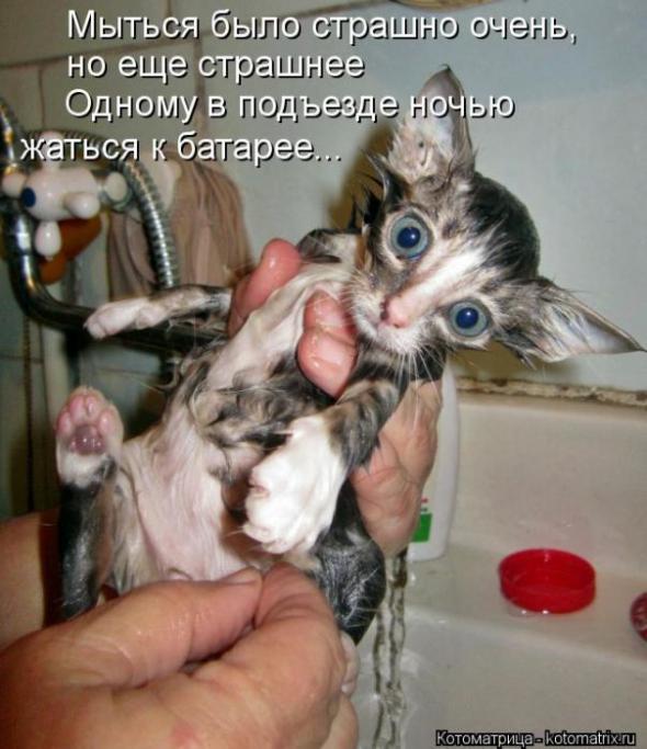 1668275_cb9ab75d6a872a73242bf158e0f_prev (590x683, 55Kb)