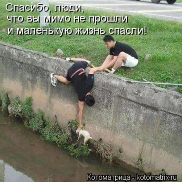 1668275_f30d7f81eb2e7dfde31466cc8b8_prev (590x590, 61Kb)