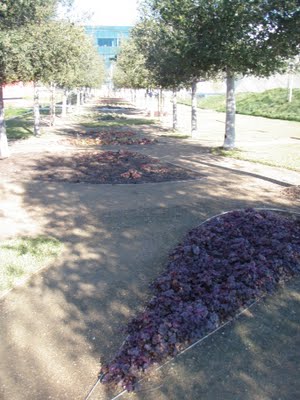 P2191917 (300x400, 29Kb)
