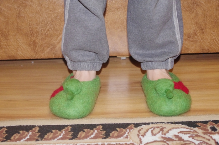 IMGP0872 (700x464, 229Kb)