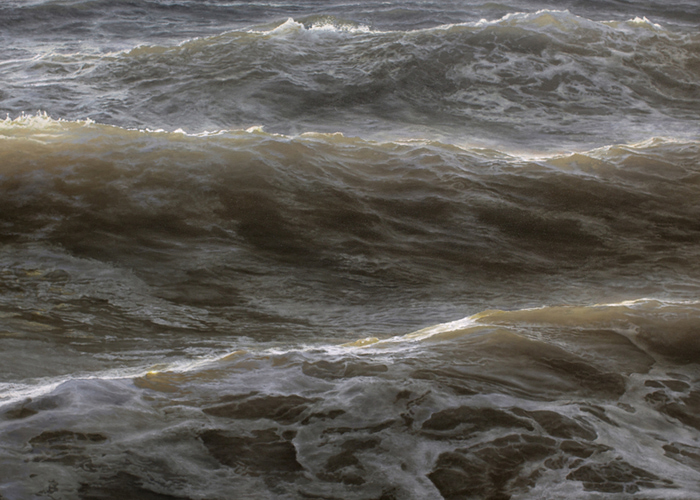 3623822_Ran_Ortner_web (700x500, 267Kb)