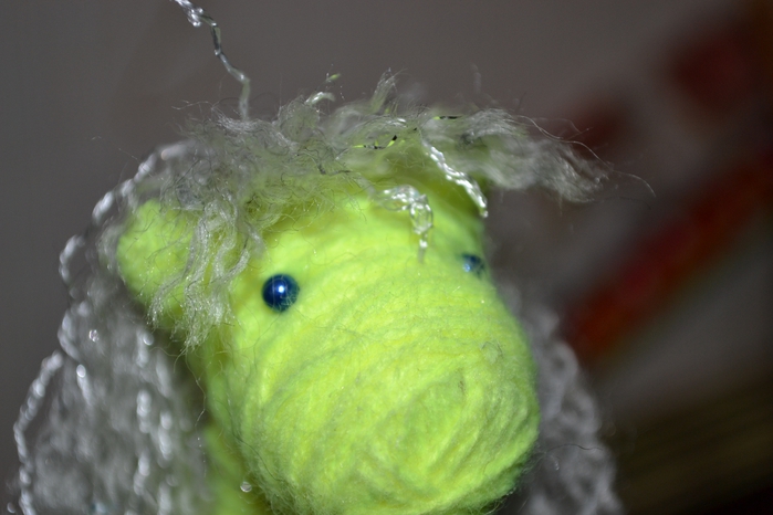 DSC_0168 (700x466, 190Kb)