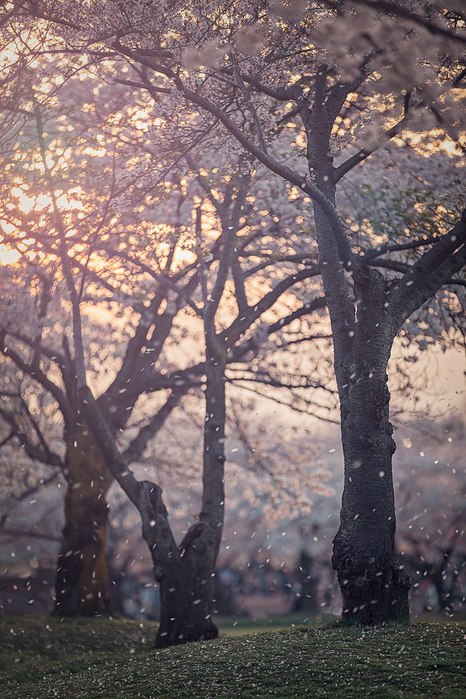BLW90NCbblE (466x700, 115Kb)