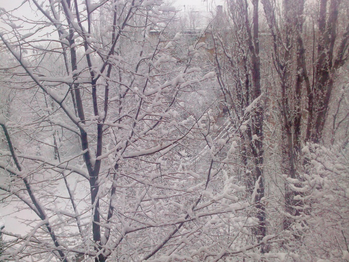 CameraZOOM-20130108082020501 (700x525, 210Kb)