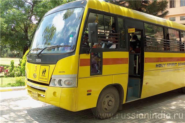 school-bus (640x427, 78Kb)