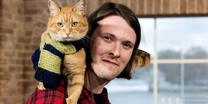 1357609801_cat-005 (700x352, 40Kb)