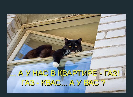 А у нас в квартире газ. А У нас в квартире Гас а у вас. А У нас в квартире ГАЗ А У вас прикол. У наскварире ГАЗ. Ау вас.