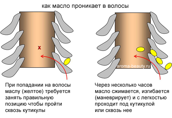 1770843_Matveev_Vladimir_stellaj2 (600x410, 129Kb)