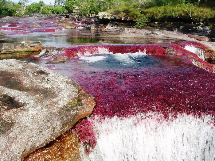 3623822_River3_1_ (700x525, 161Kb)