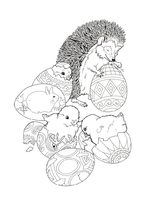 hedgehog 06 (495x700, 88Kb)