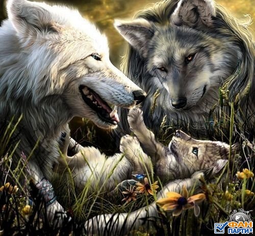 1087271_volf_pic (500x462, 80Kb)