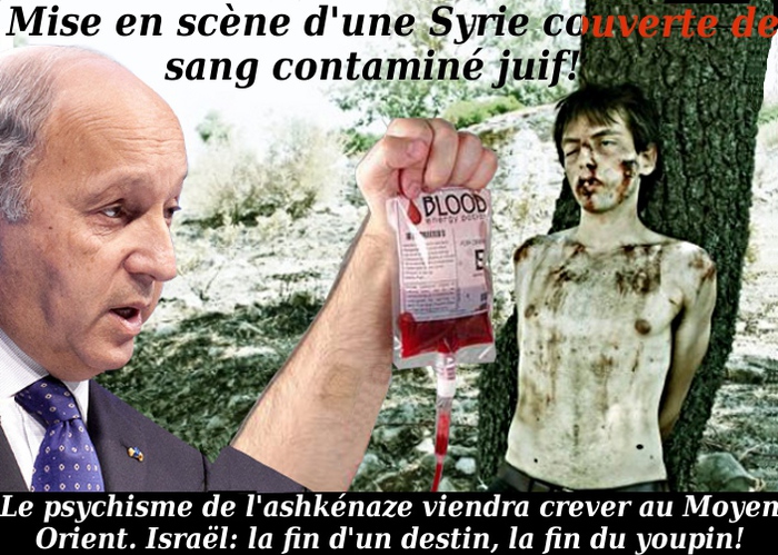 Couvrir la Syrie de mensonges et de mercenaires étrangers/5046362_Fabius (700x499, 210Kb)