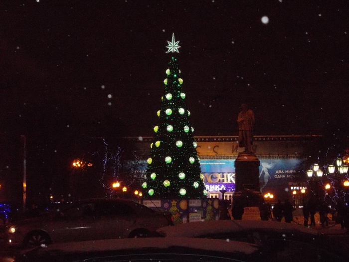 DSCN2993 (700x525, 197Kb)