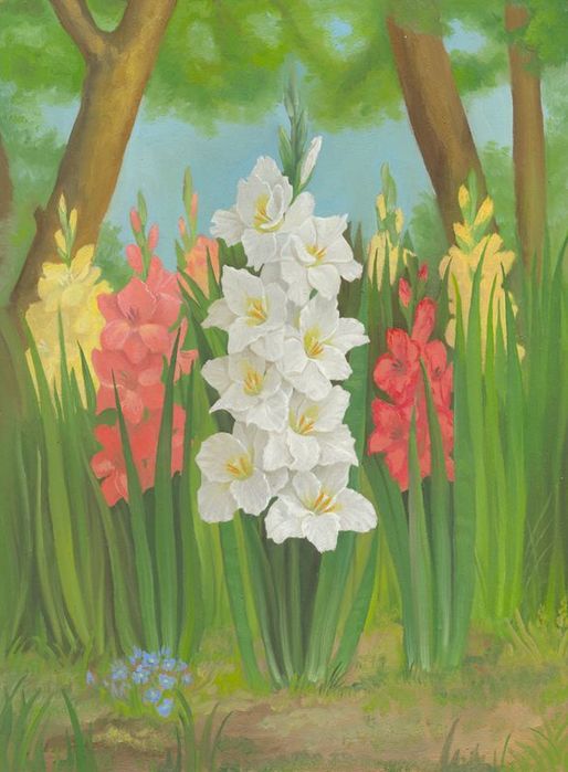 27492675_1213878652_Gladiolusuy (514x699, 55Kb)