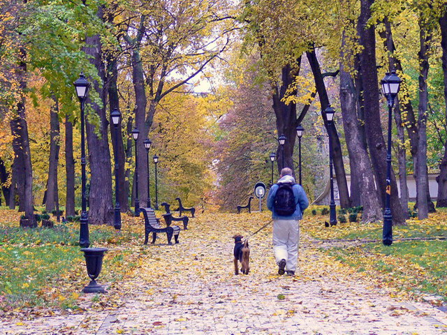 1911057_6478815a (640x480, 214Kb)