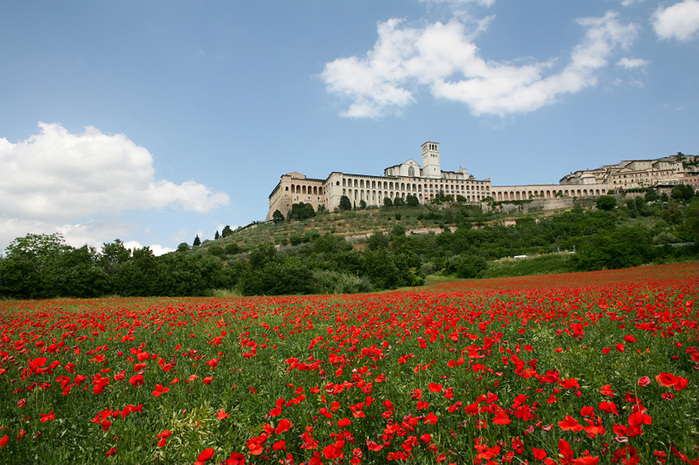 assisi_1 (700x465, 210Kb)