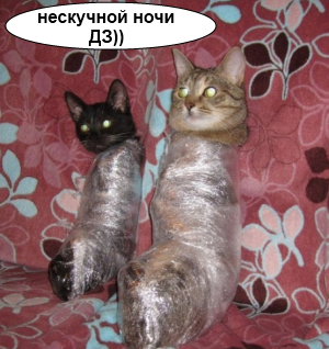  (300x318, 233Kb)