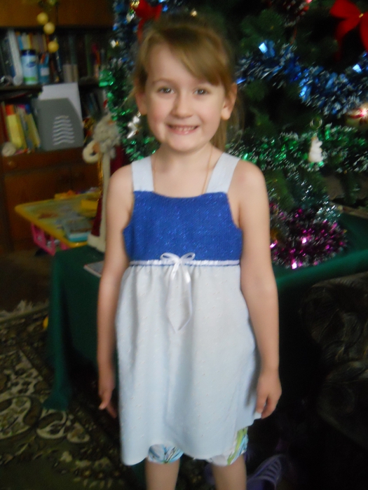 3564006_DSCN4702 (525x700, 240Kb)