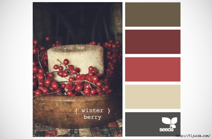 design-seeds-winter-berry-colour-palette-inspiration (1) (700x460, 146Kb)