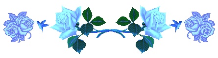 4690170_0_774f7_16a96583_L_1_ (445x120, 14Kb)