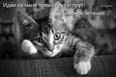 s20980972 (400x266, 18Kb)