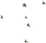   (18) (149x141, 5Kb)