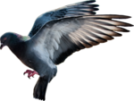   (150x113, 21Kb)