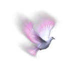  ___ (55) (308x313, 76Kb)