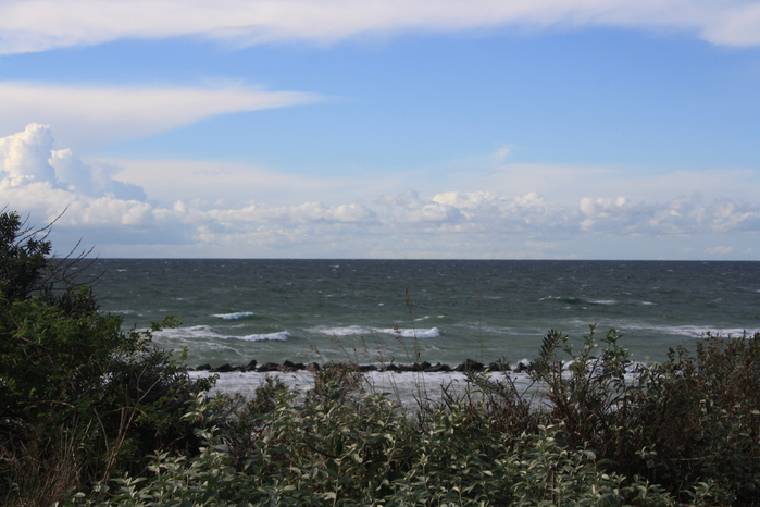 IMG_7386 (700x466, 378Kb)