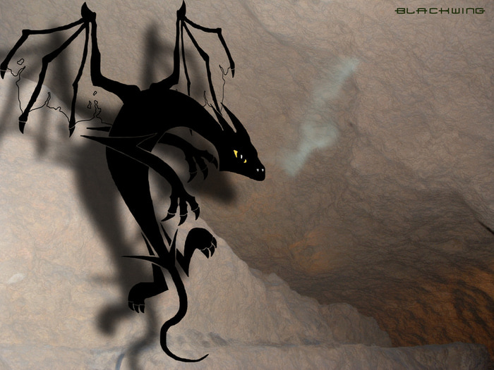 Shadow_Dragon_by_Black_wing_RU (700x525, 120Kb)