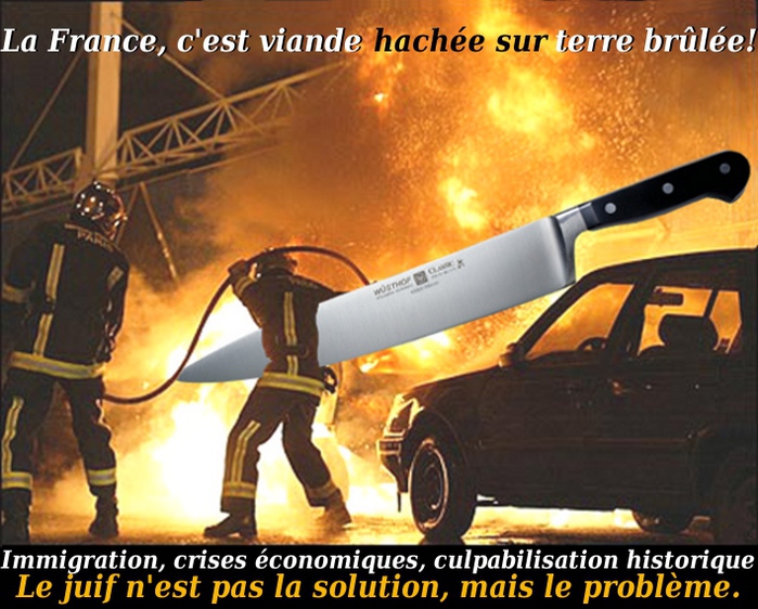 Viande hachée sur terre brûlée./5046362_Viande_hachee (700x562, 186Kb)