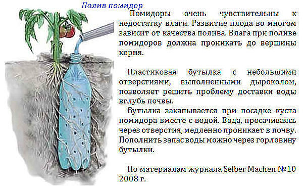  (600x374, 88Kb)