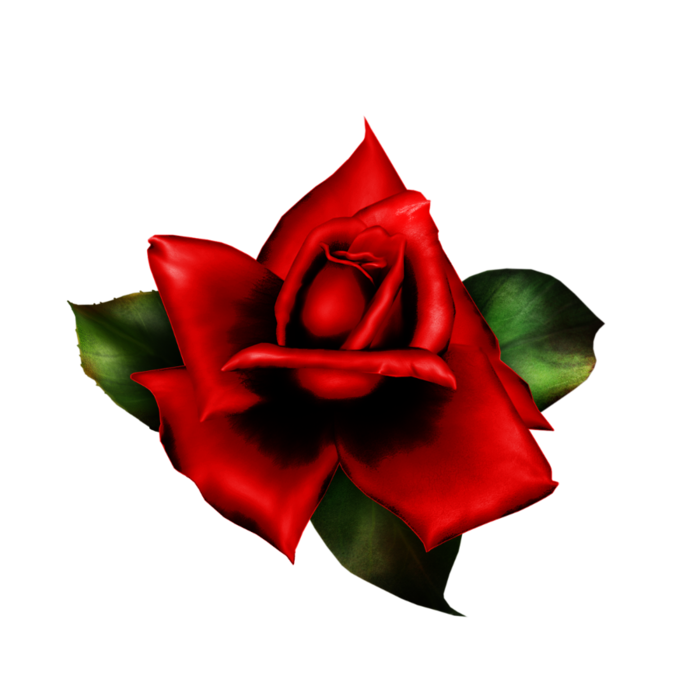 rose with leaves1 (700x700, 186Kb)