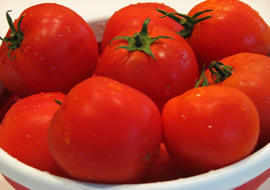 1335972144_sort-pomidora-sanka-1[1] (270x190, 26Kb)
