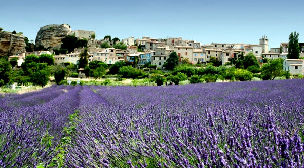 grasse_france_2 (700x432, 106Kb)