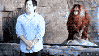 anigif_enhanced-buzz-29987-1357754061-1 (320x181, 1023Kb)