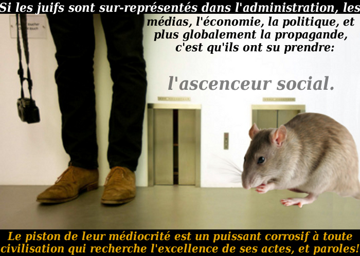 L'ascenceur social pour les rats/5046362_AscenceurSocial (700x499, 182Kb)