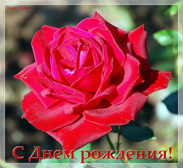 89989675_dr__5_ (600x550, 282Kb)