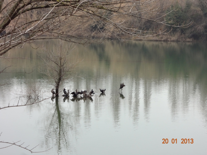 4798334_DSC06183 (700x525, 245Kb)